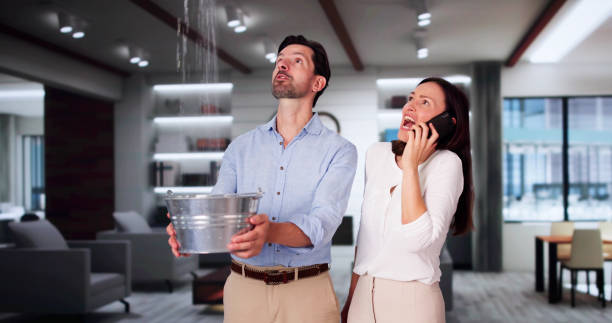 Best Emergency Water Extraction Services in Roan Mountain, TN